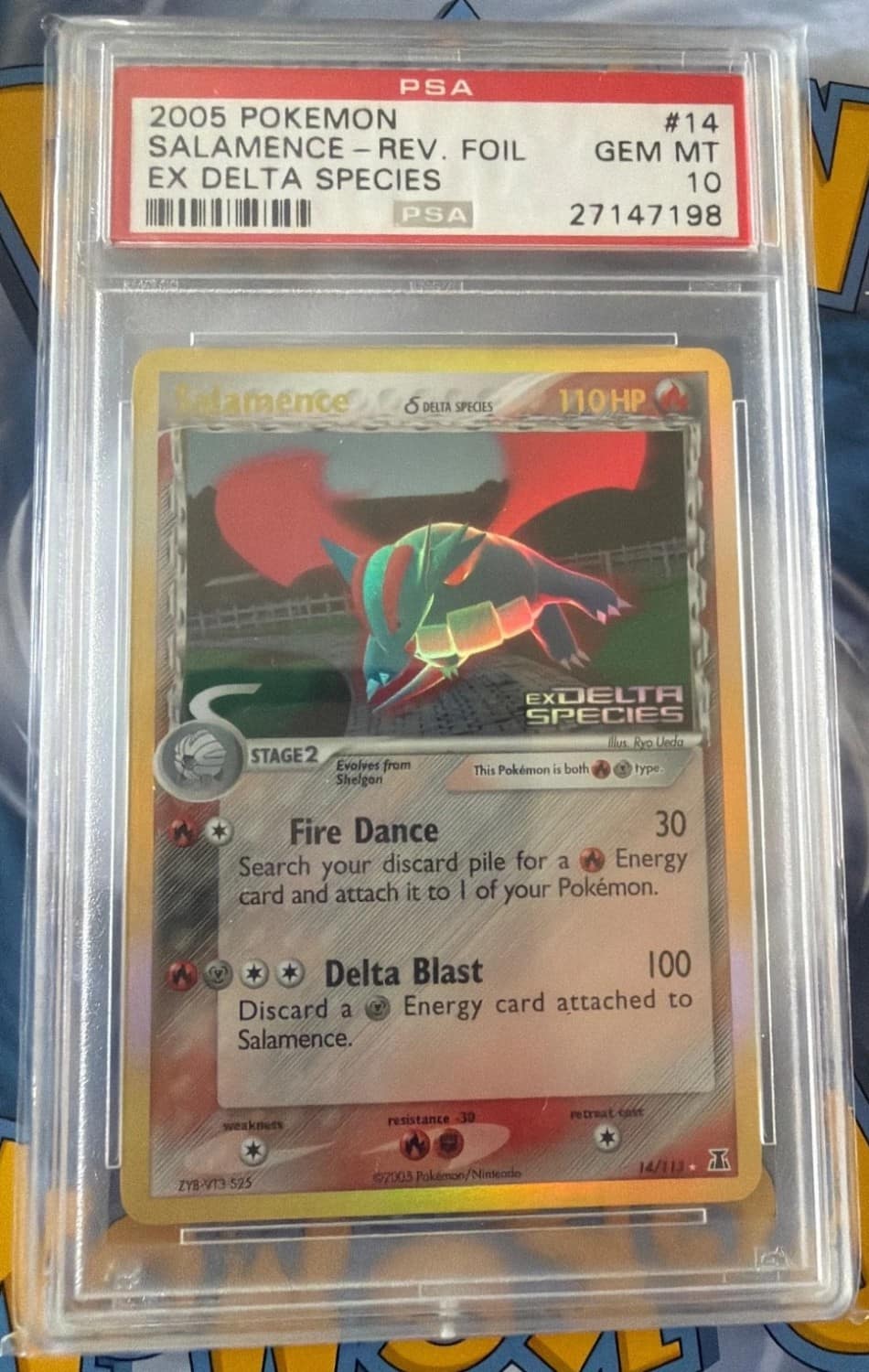 Salamence