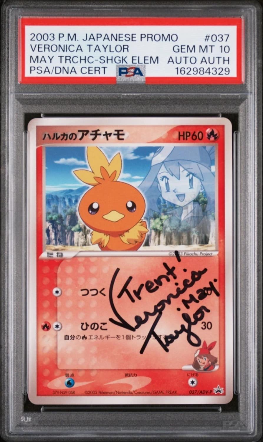 May'S Torchic