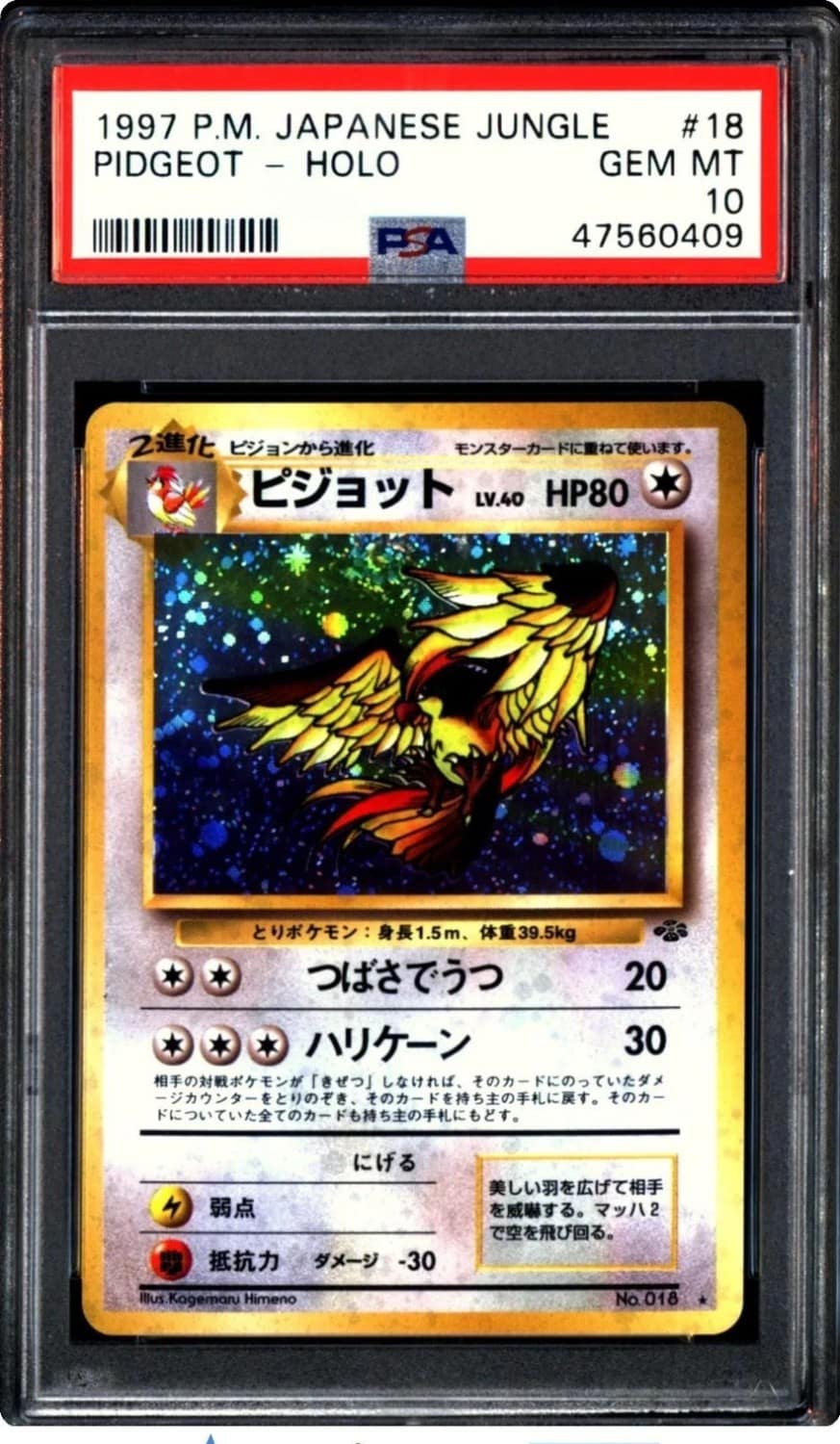 Pidgeot