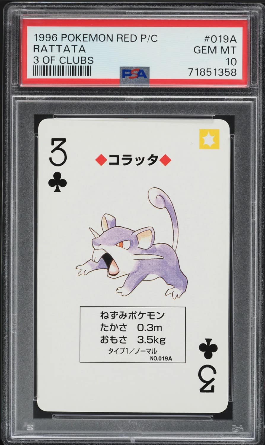 Rattata