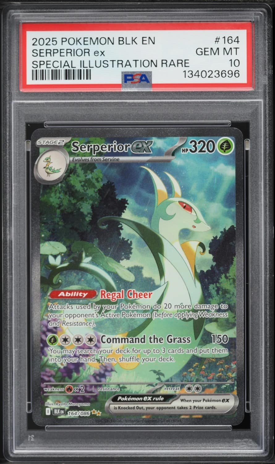 Serperior Ex