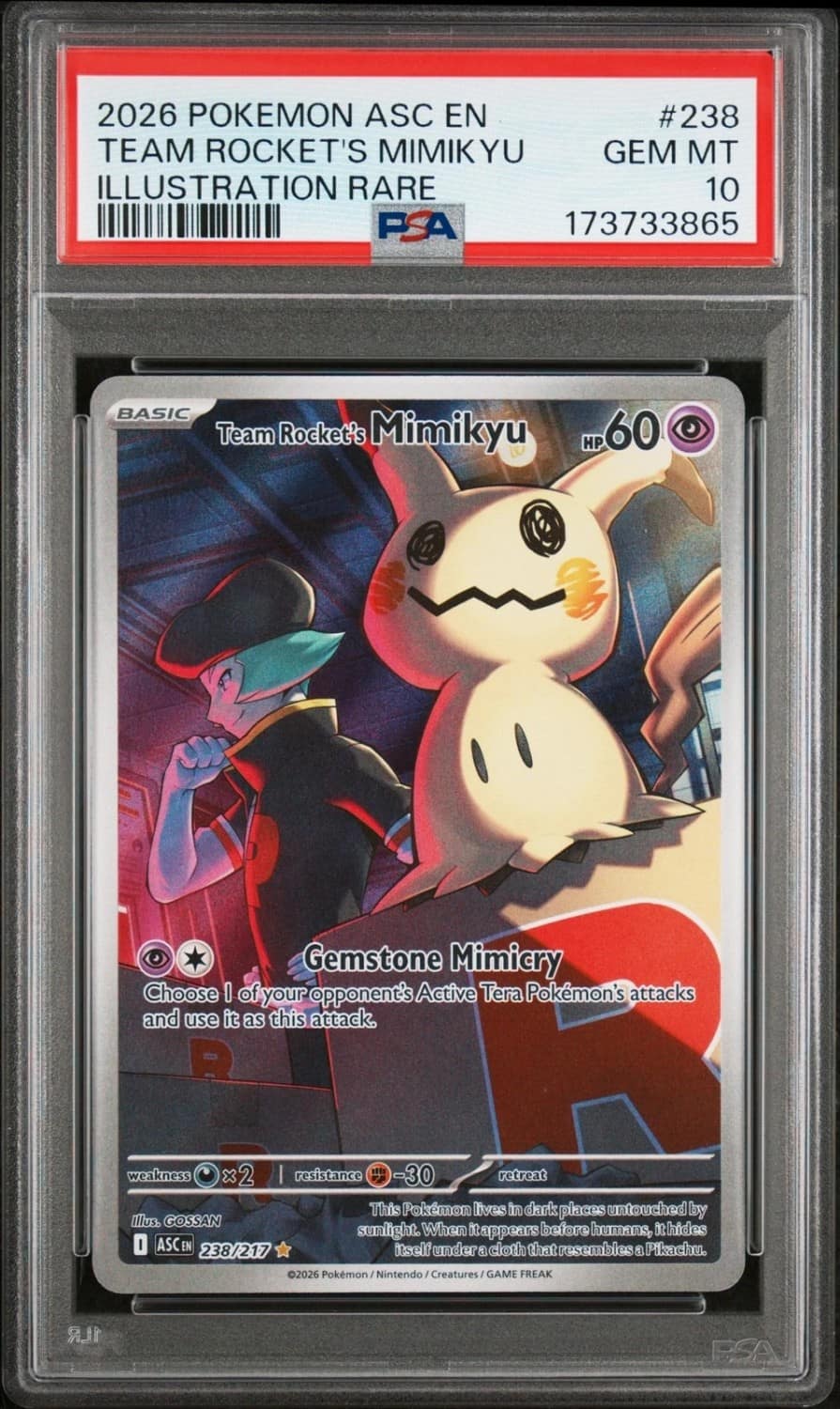 Team Rocket'S Mimikyu