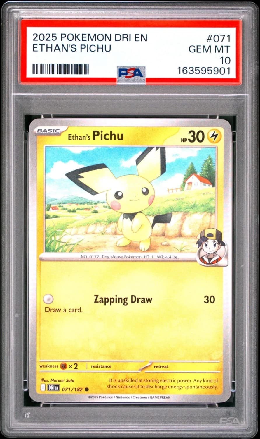 Ethan'S Pichu