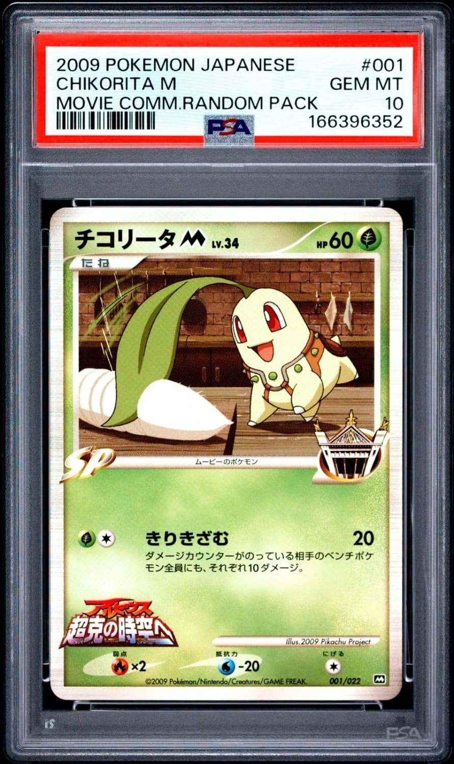 Chikorita M