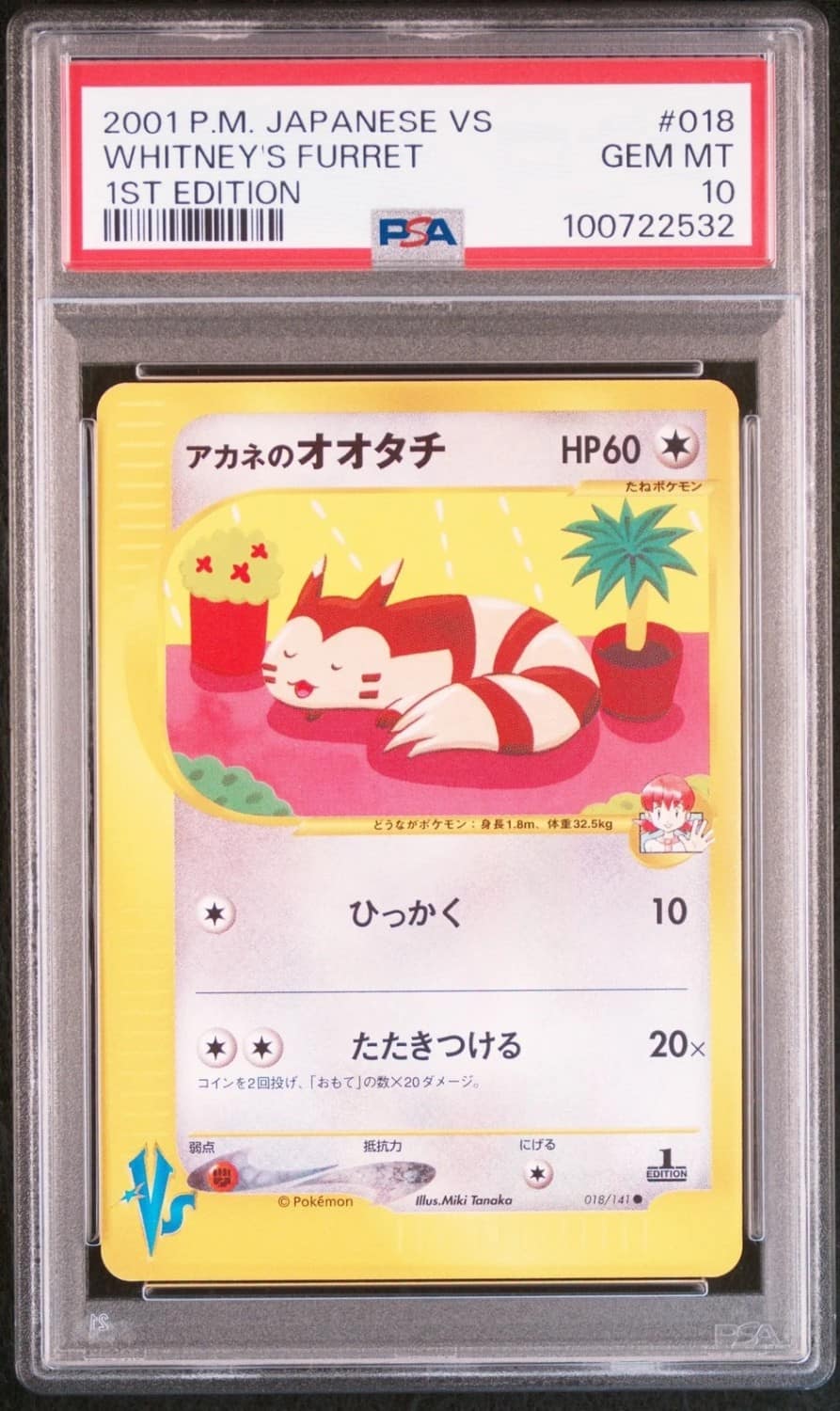 Whitney'S Furret