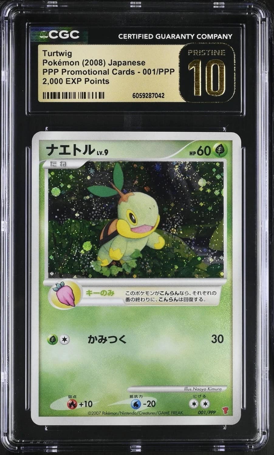 Turtwig