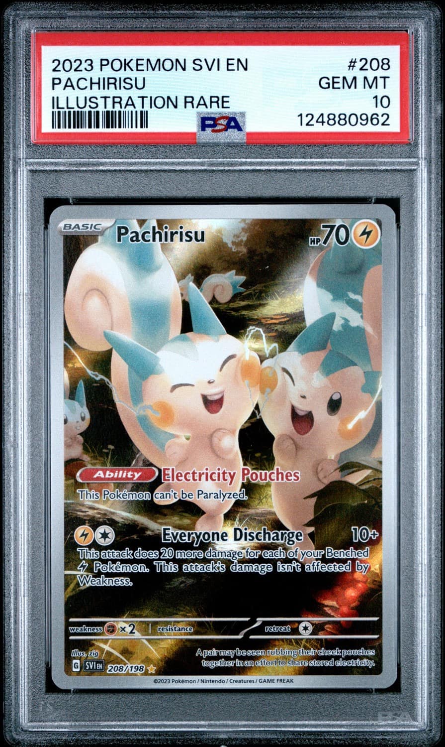 Pachirisu
