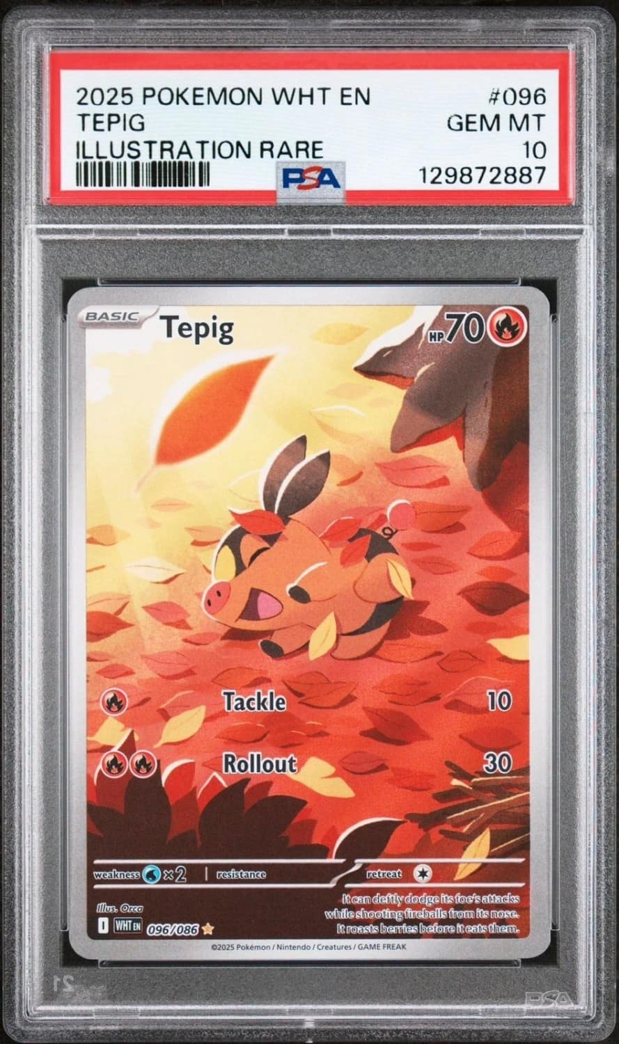 Tepig