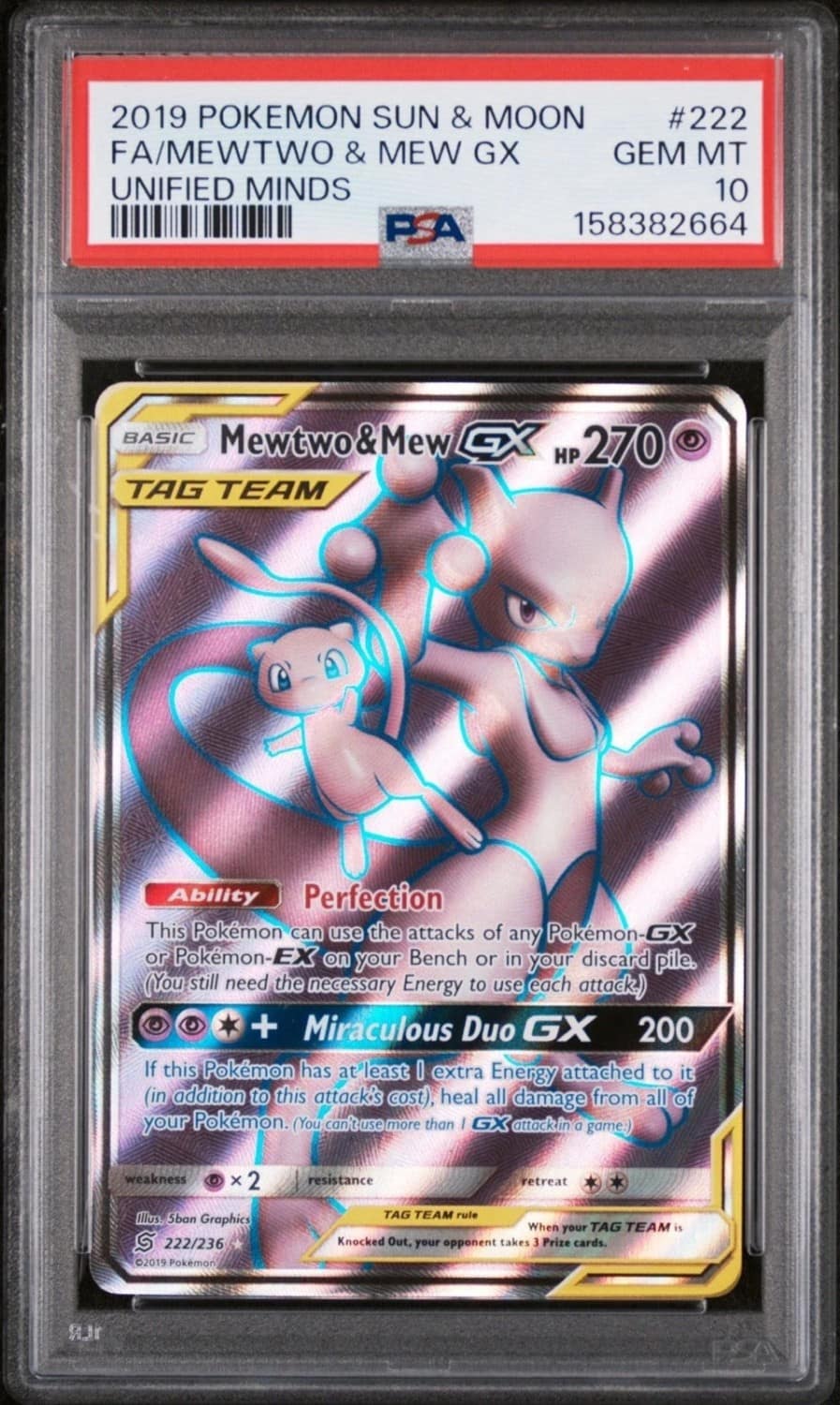 Mewtwo & Mew Gx