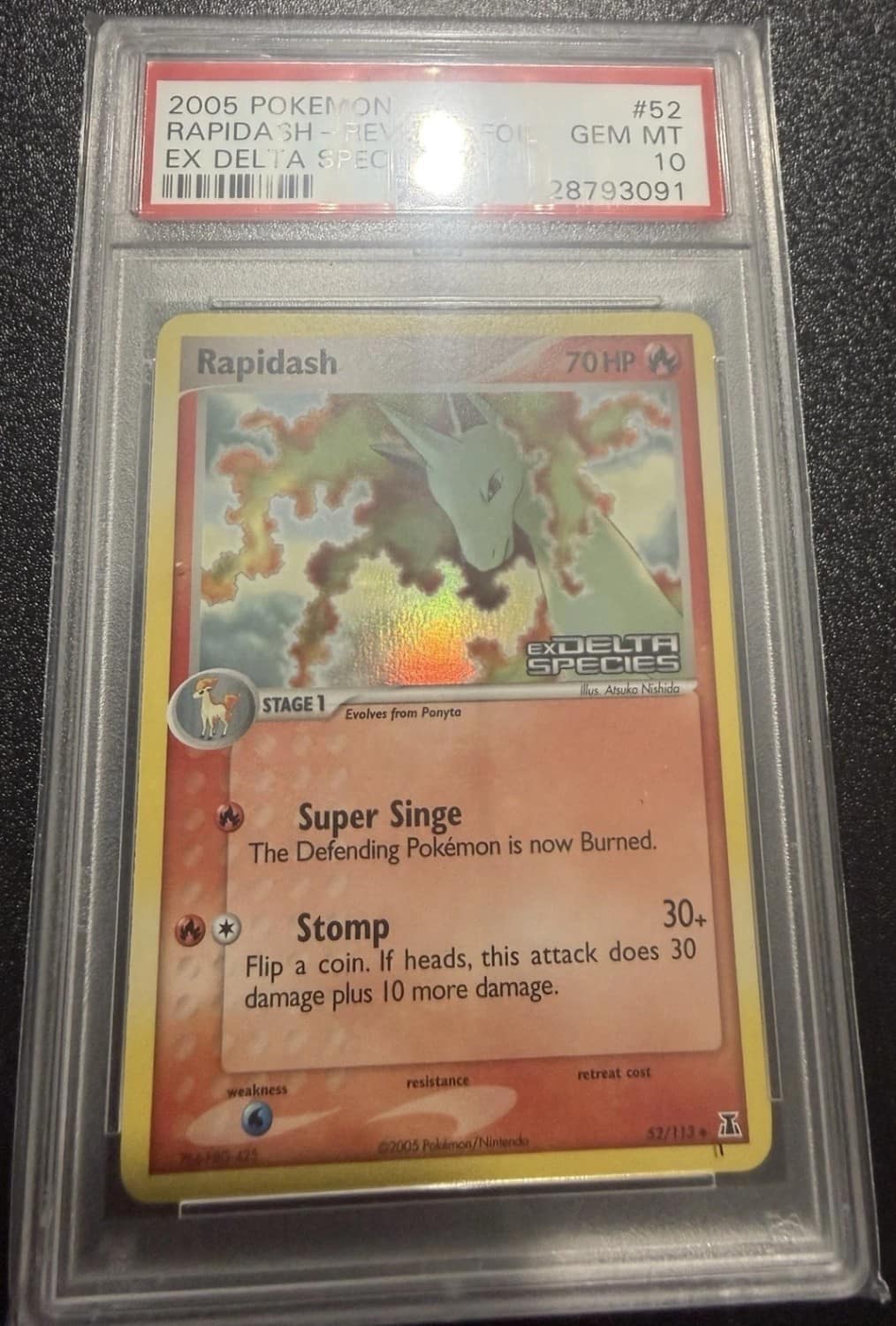 Rapidash
