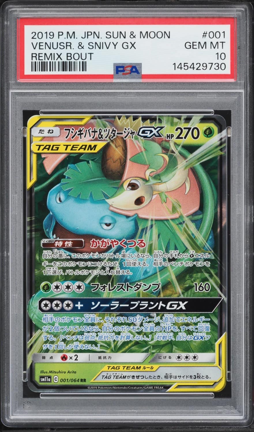 Venusaur & Snivy Gx