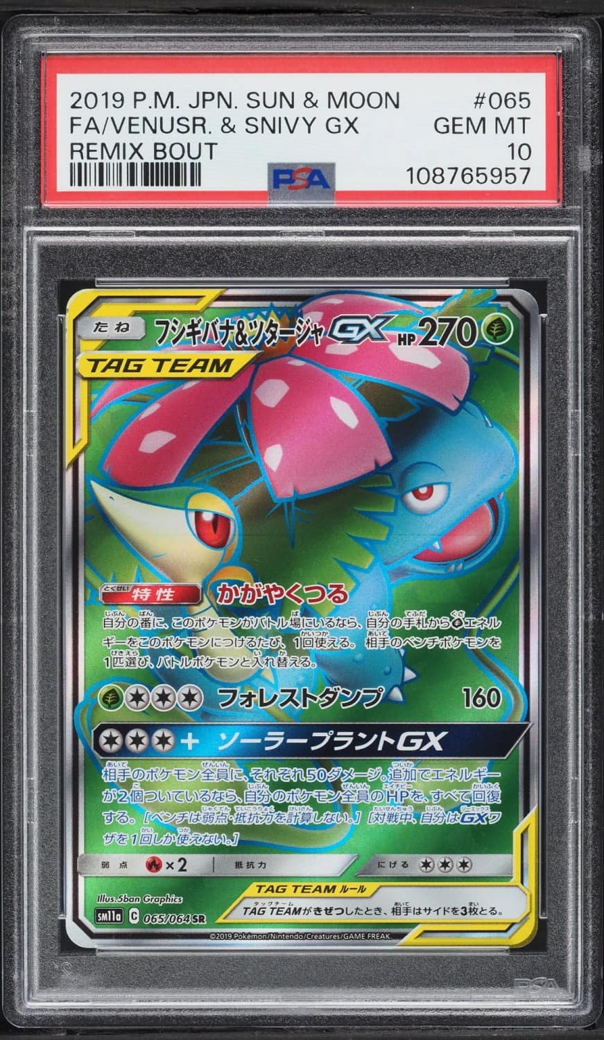Venusaur & Snivy Gx