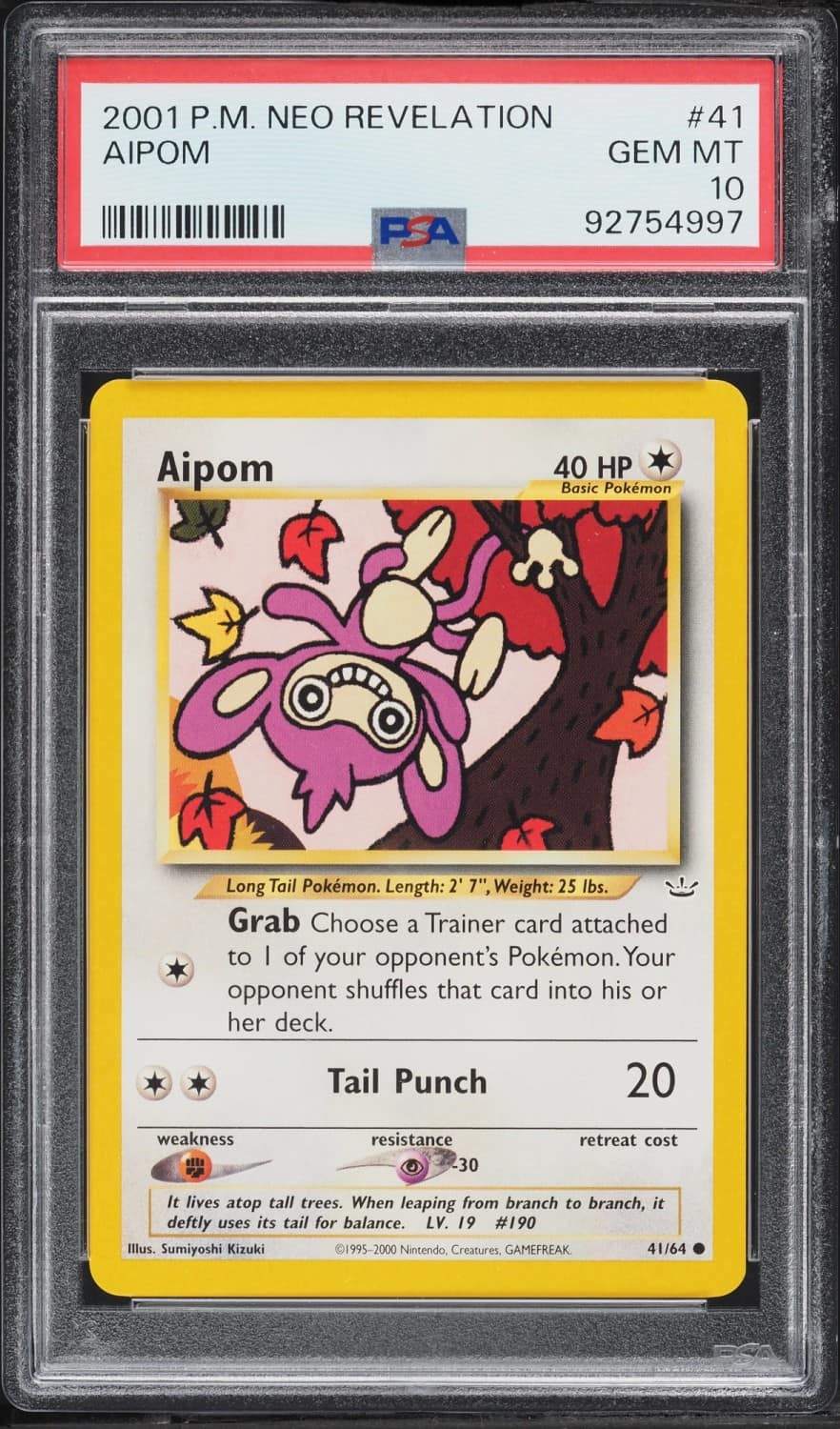 Aipom