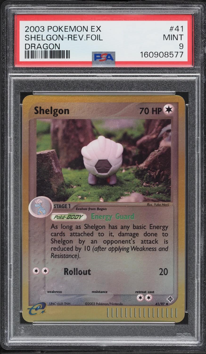 Shelgon