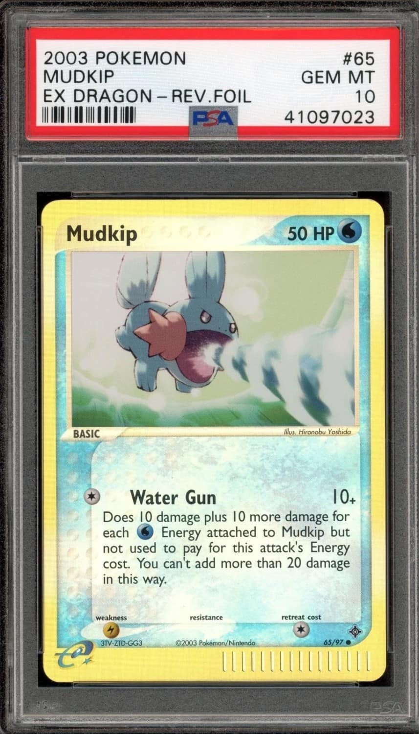 Mudkip