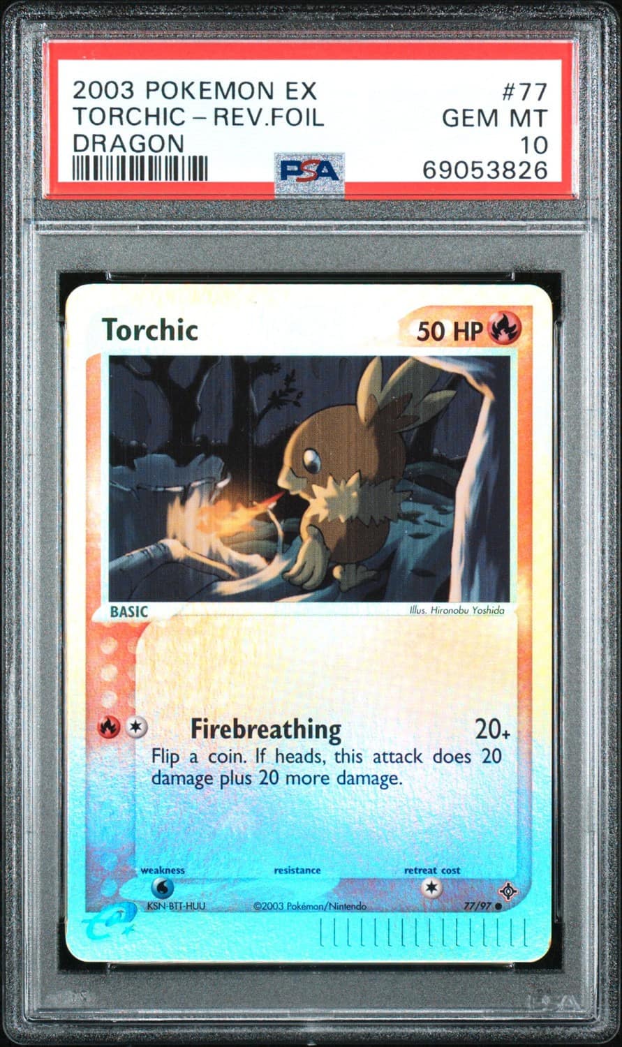 Torchic