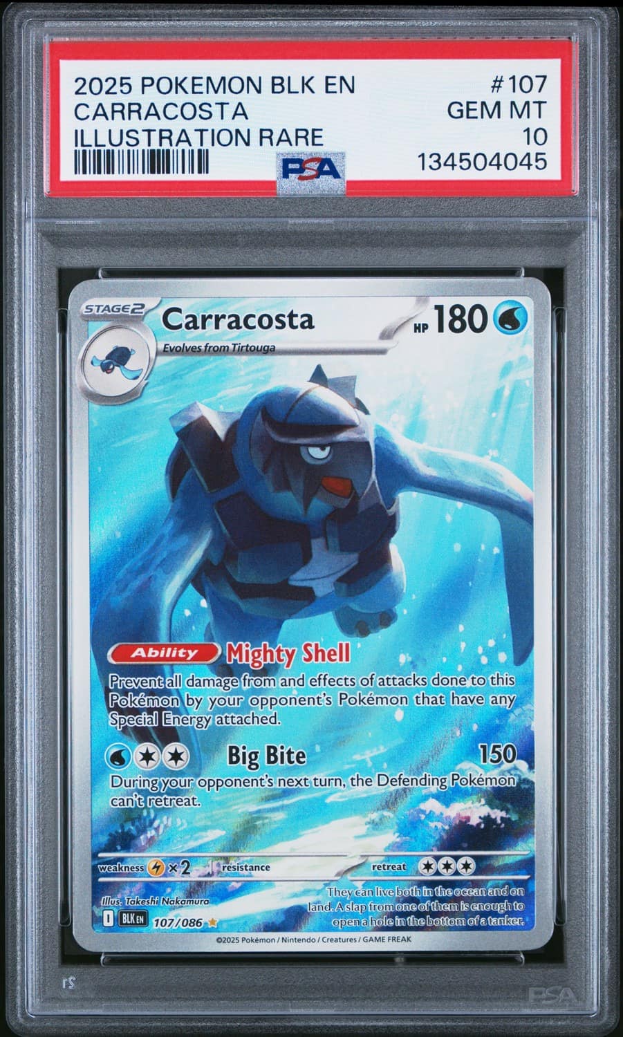 Carracosta