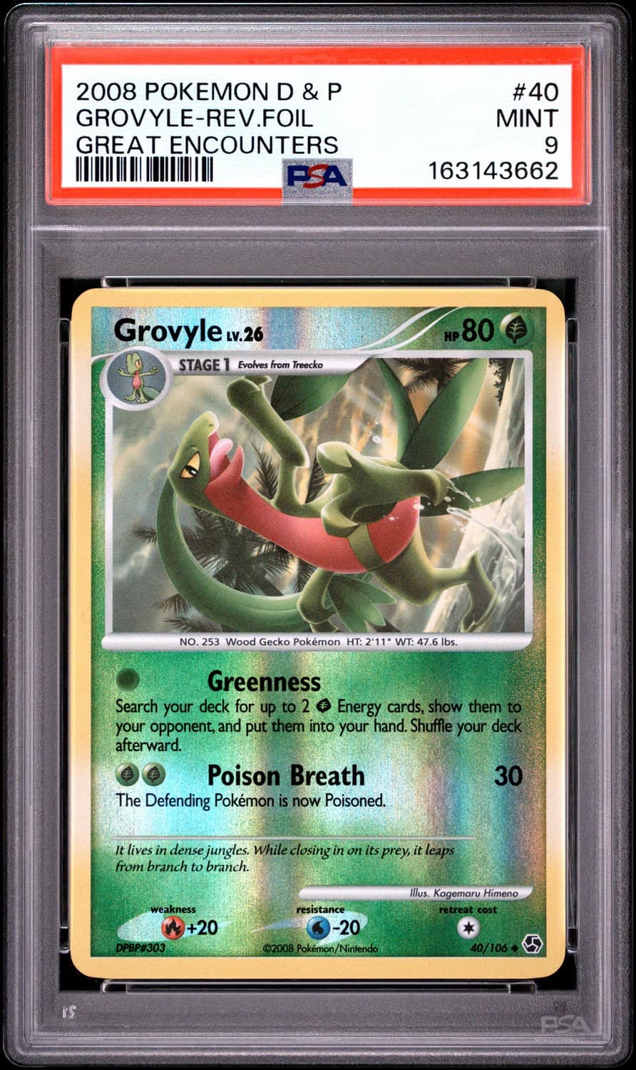 Grovyle