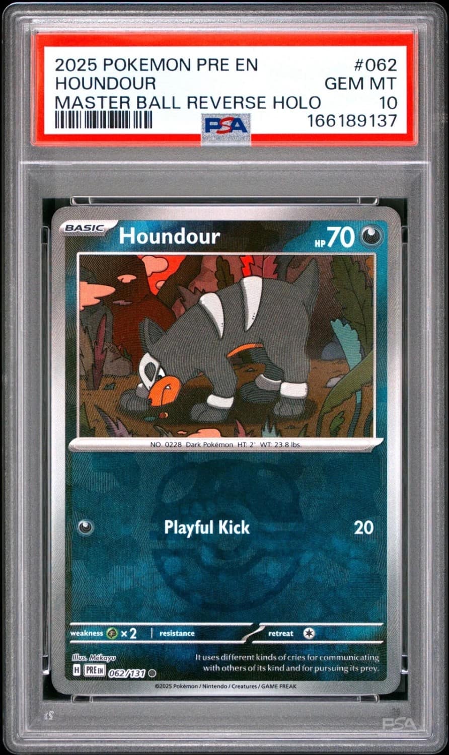 Houndour