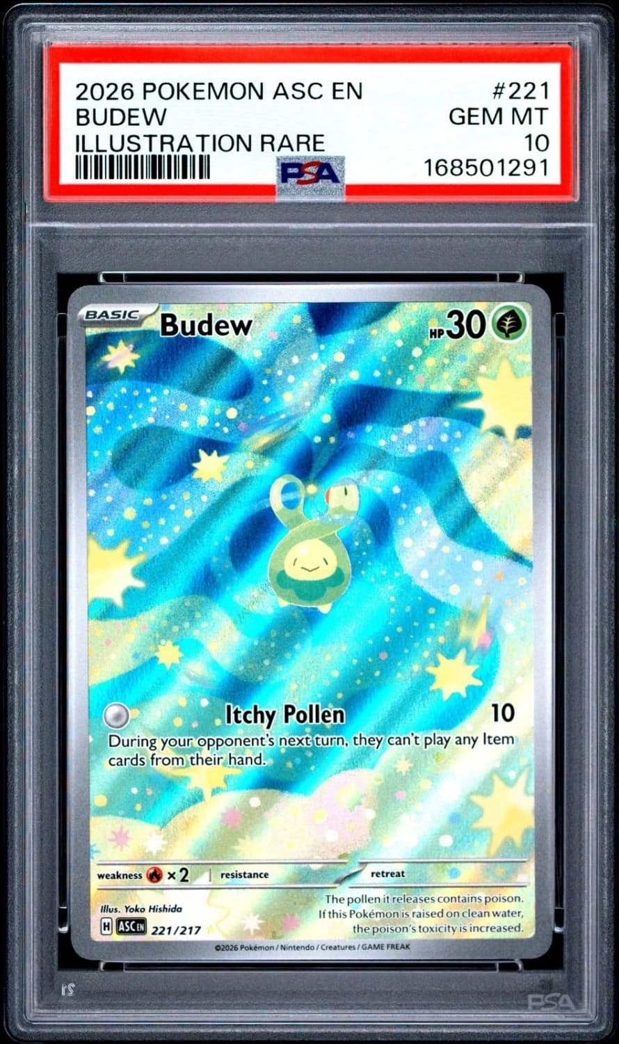 Budew