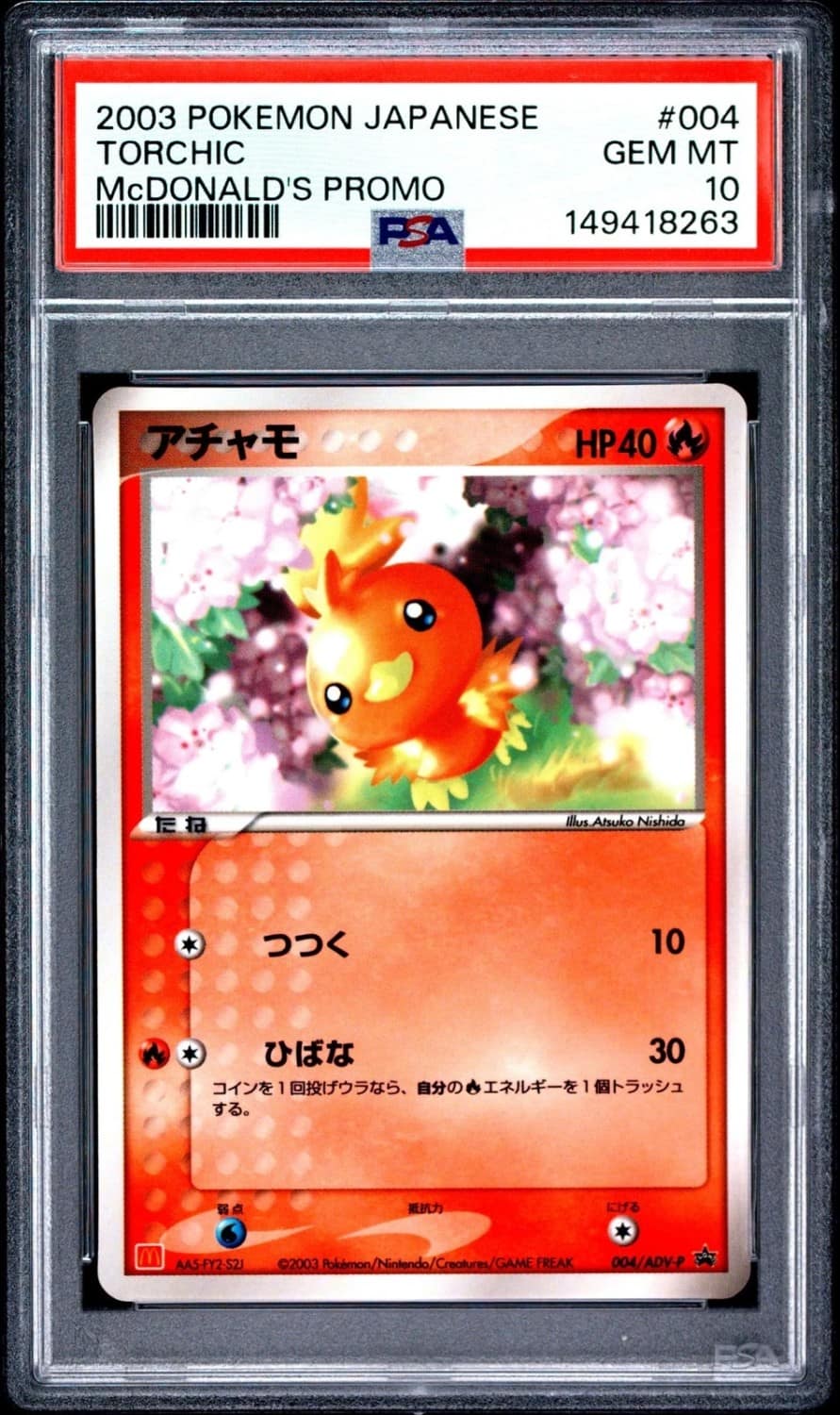 Torchic