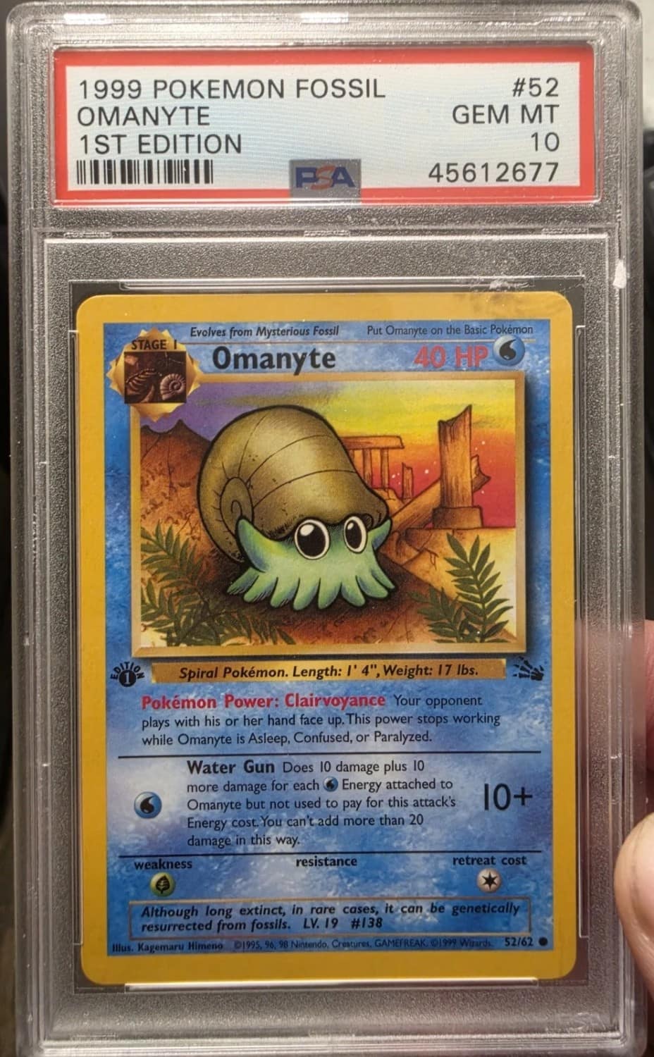 Omanyte