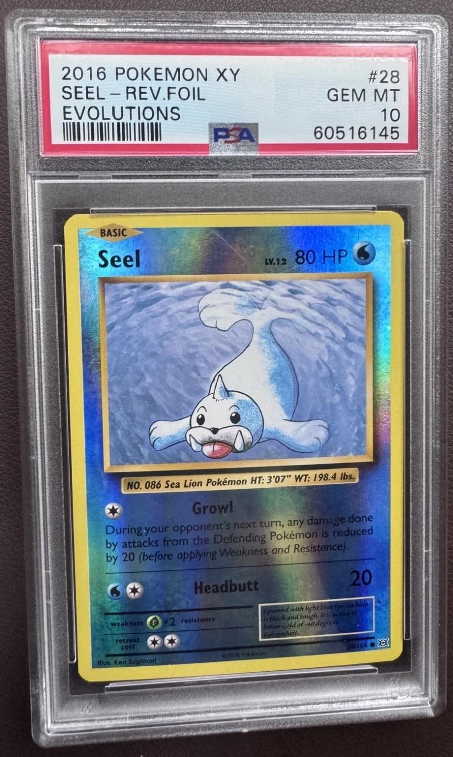 Seel