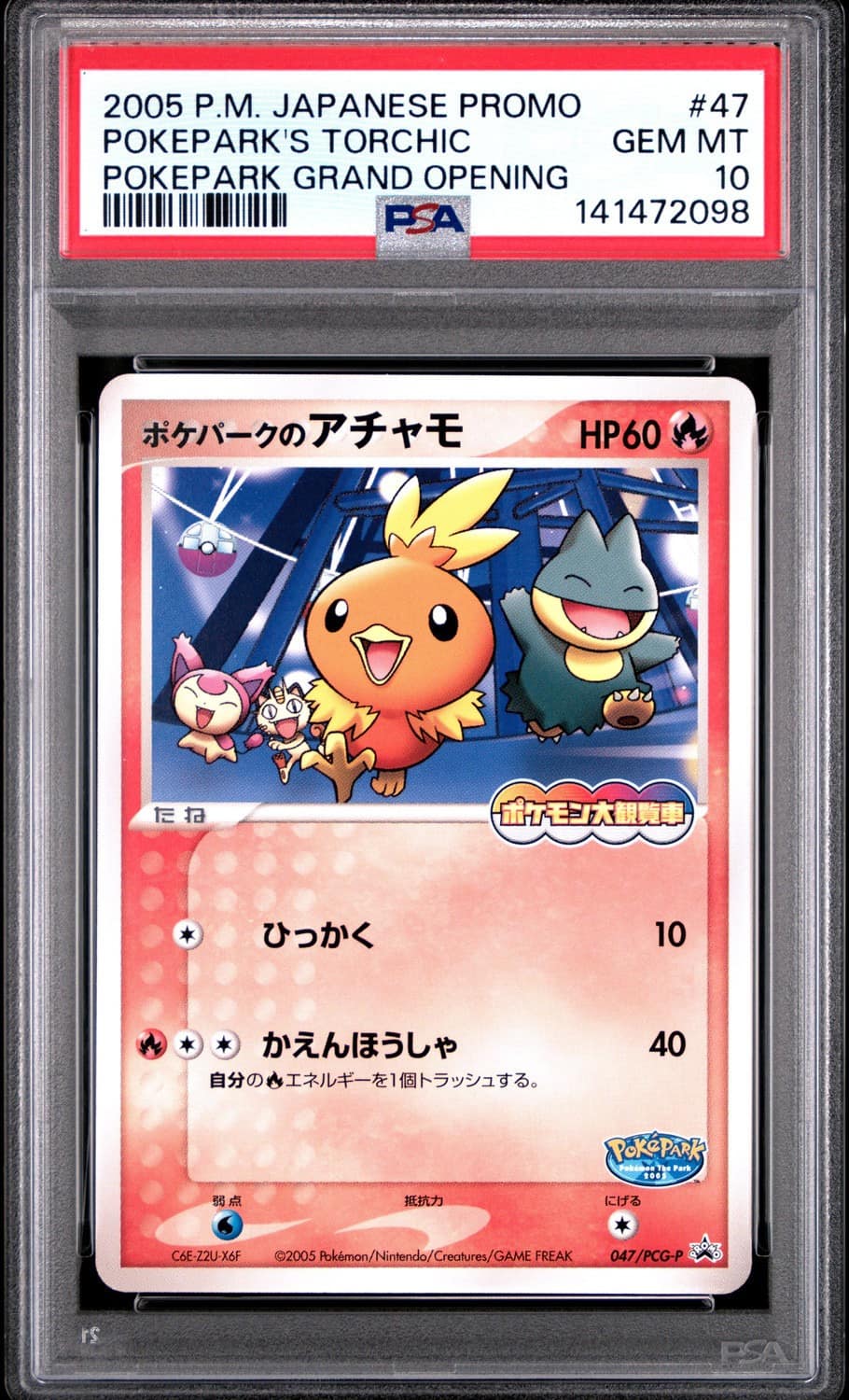 Pokepark'S Torchic
