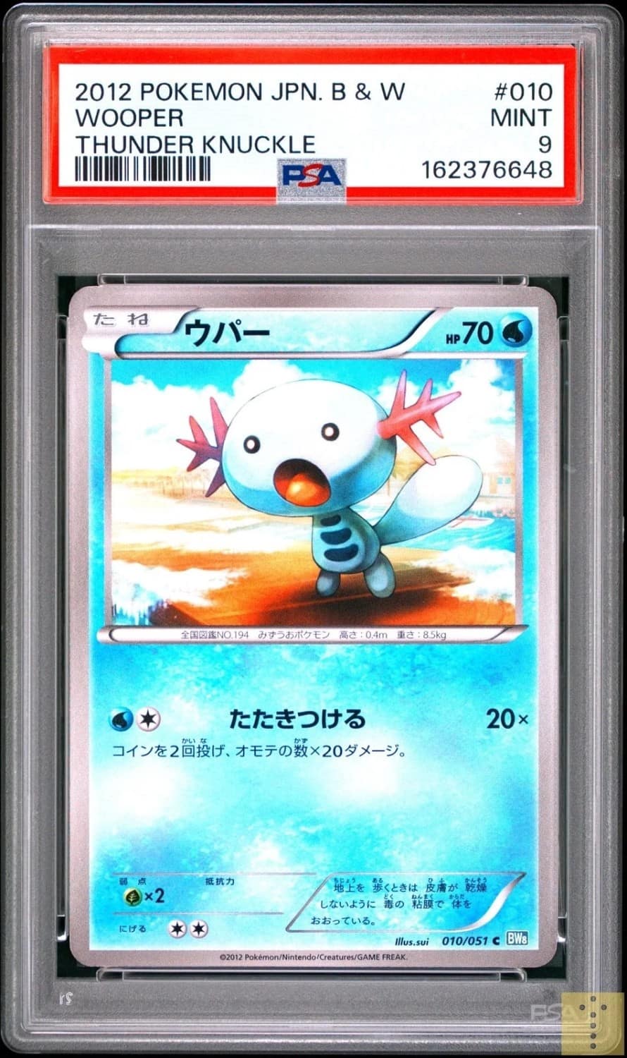 Wooper