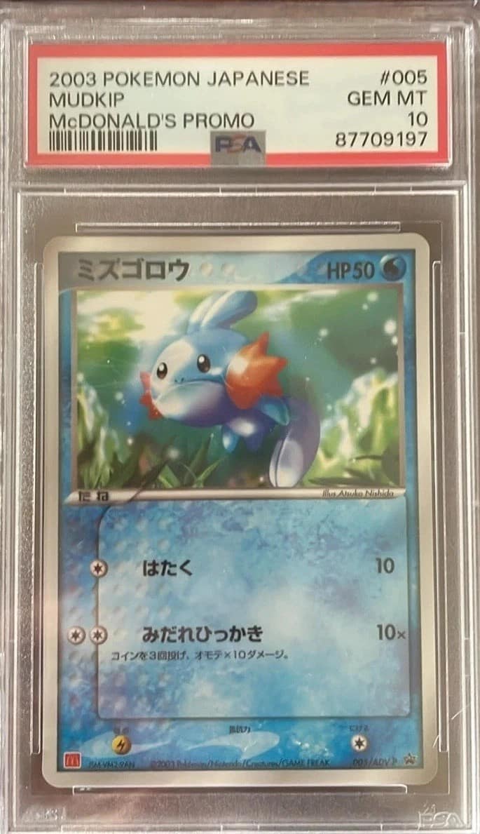 Mudkip