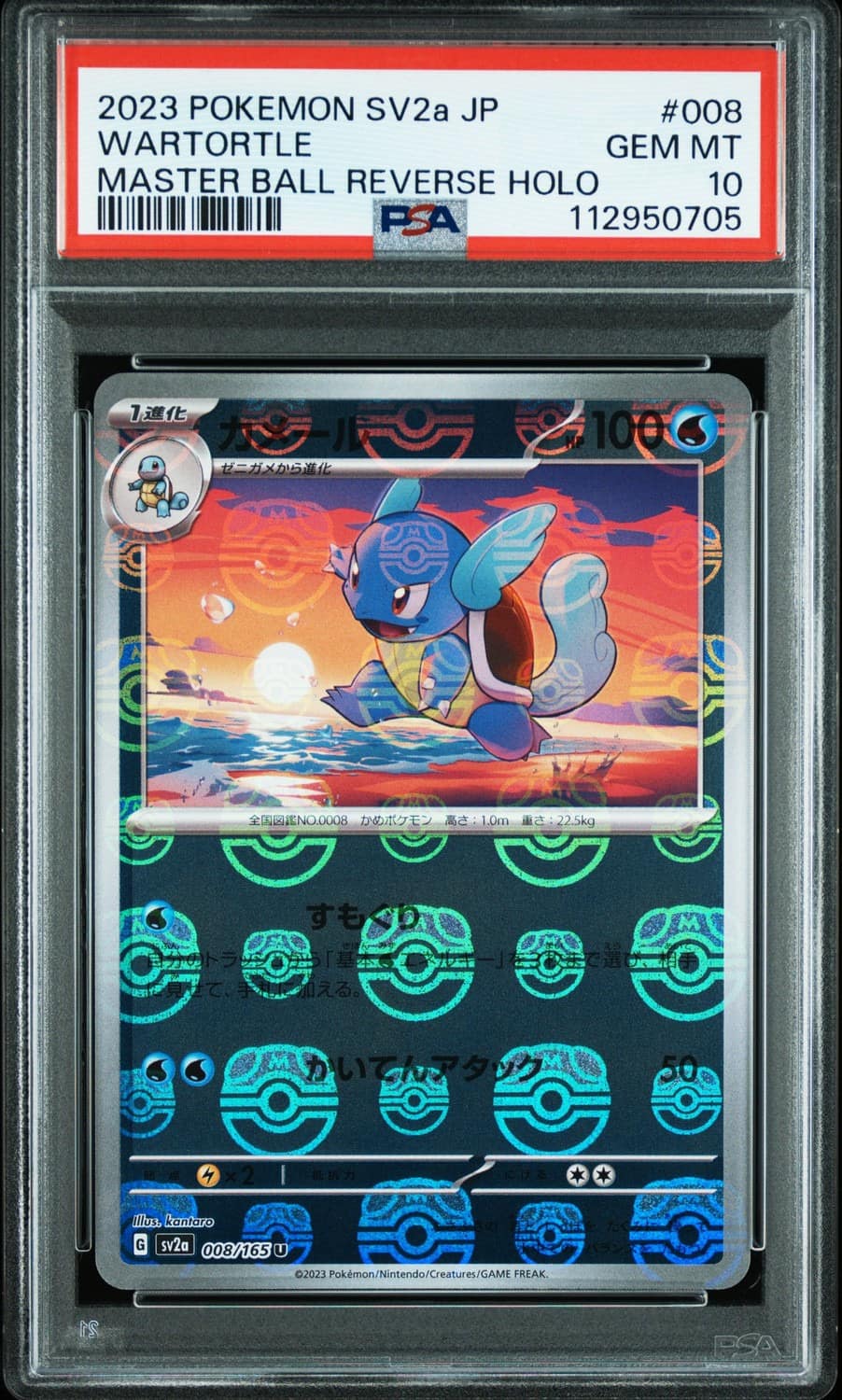 Wartortle