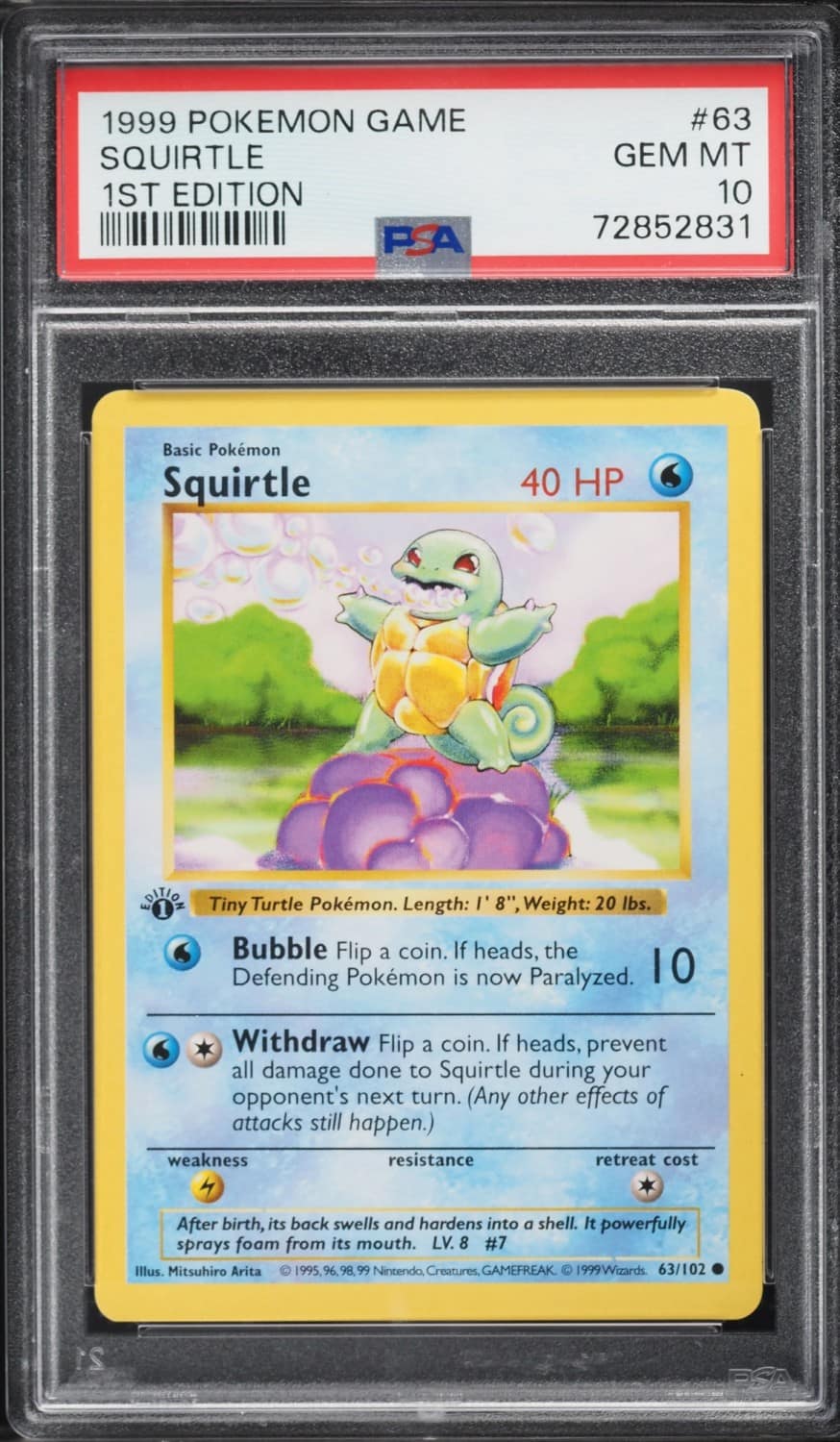 Squirtle