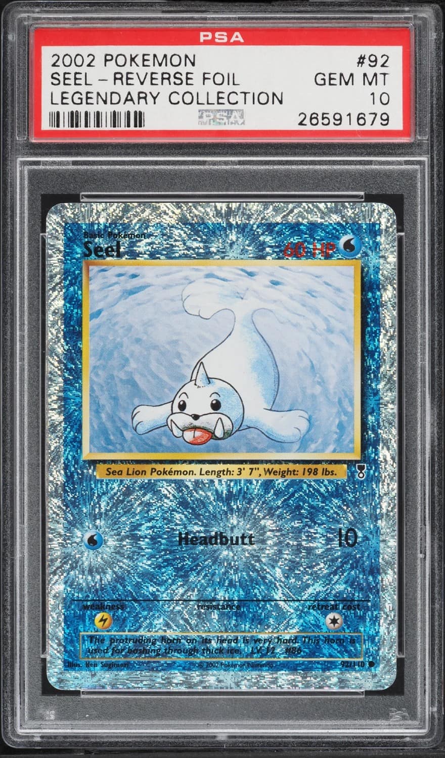 Seel
