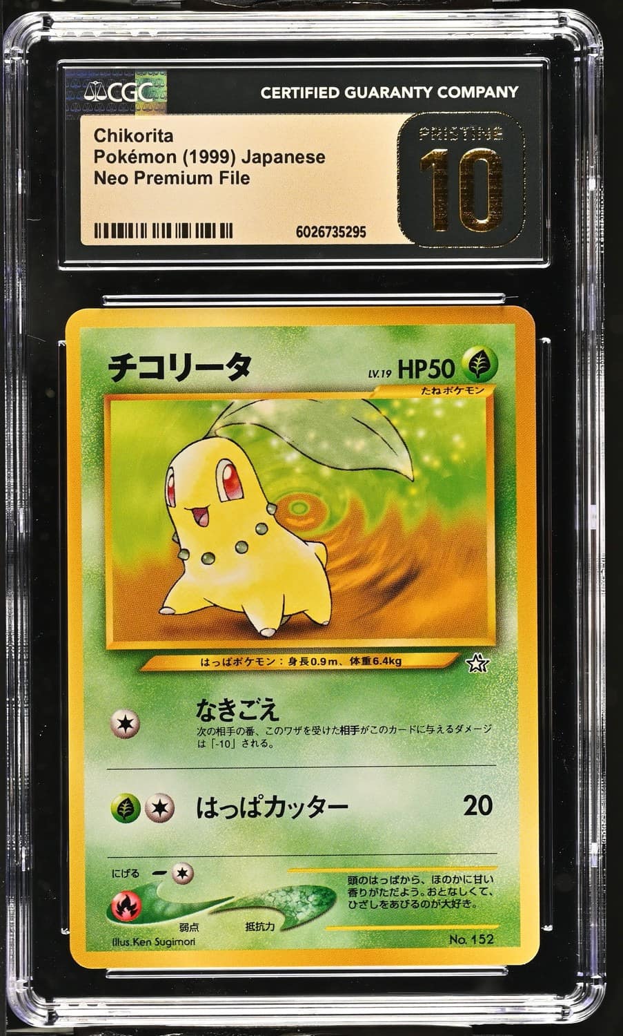 Chikorita