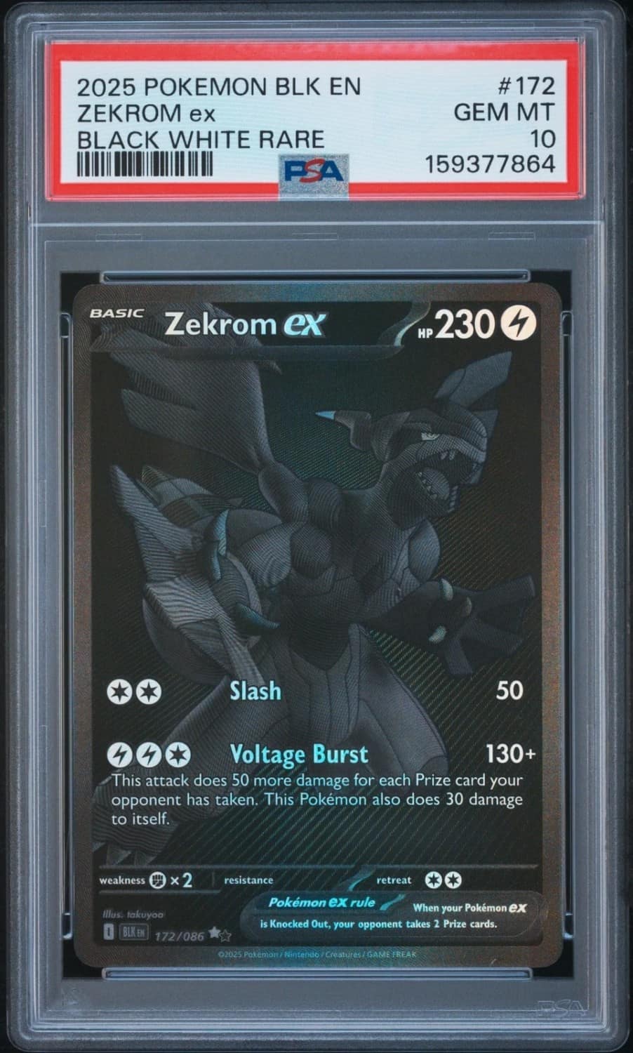 Zekrom Ex