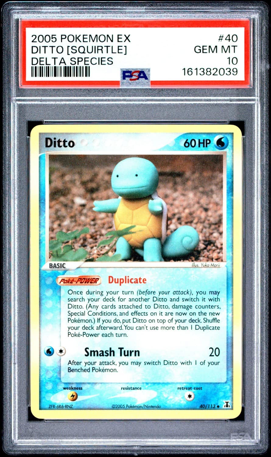 Ditto [squirtle]