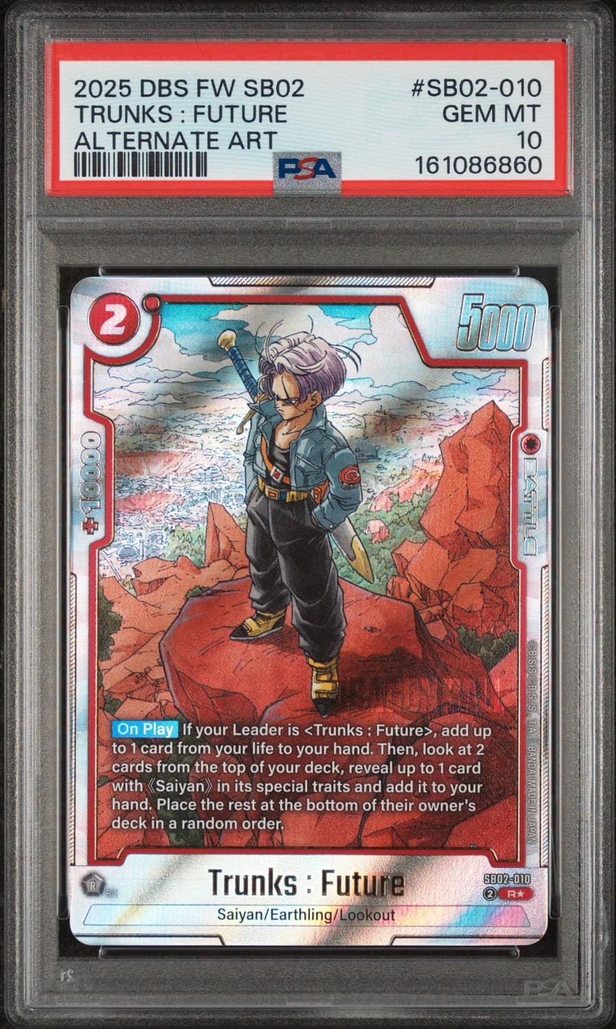 Trunks : Future