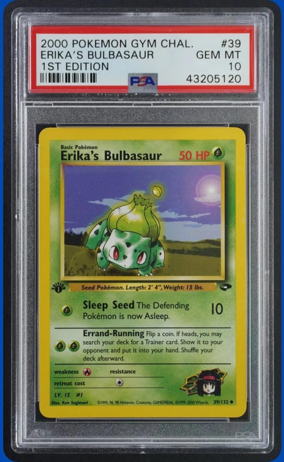 Erika'S Bulbasaur