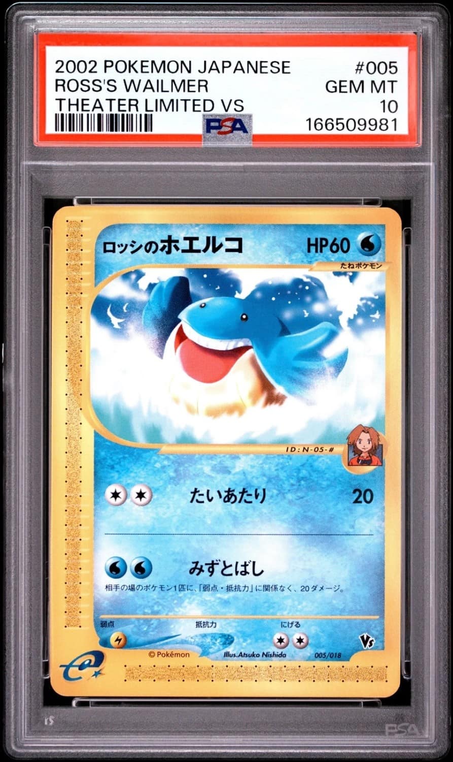 Ross'S Wailmer