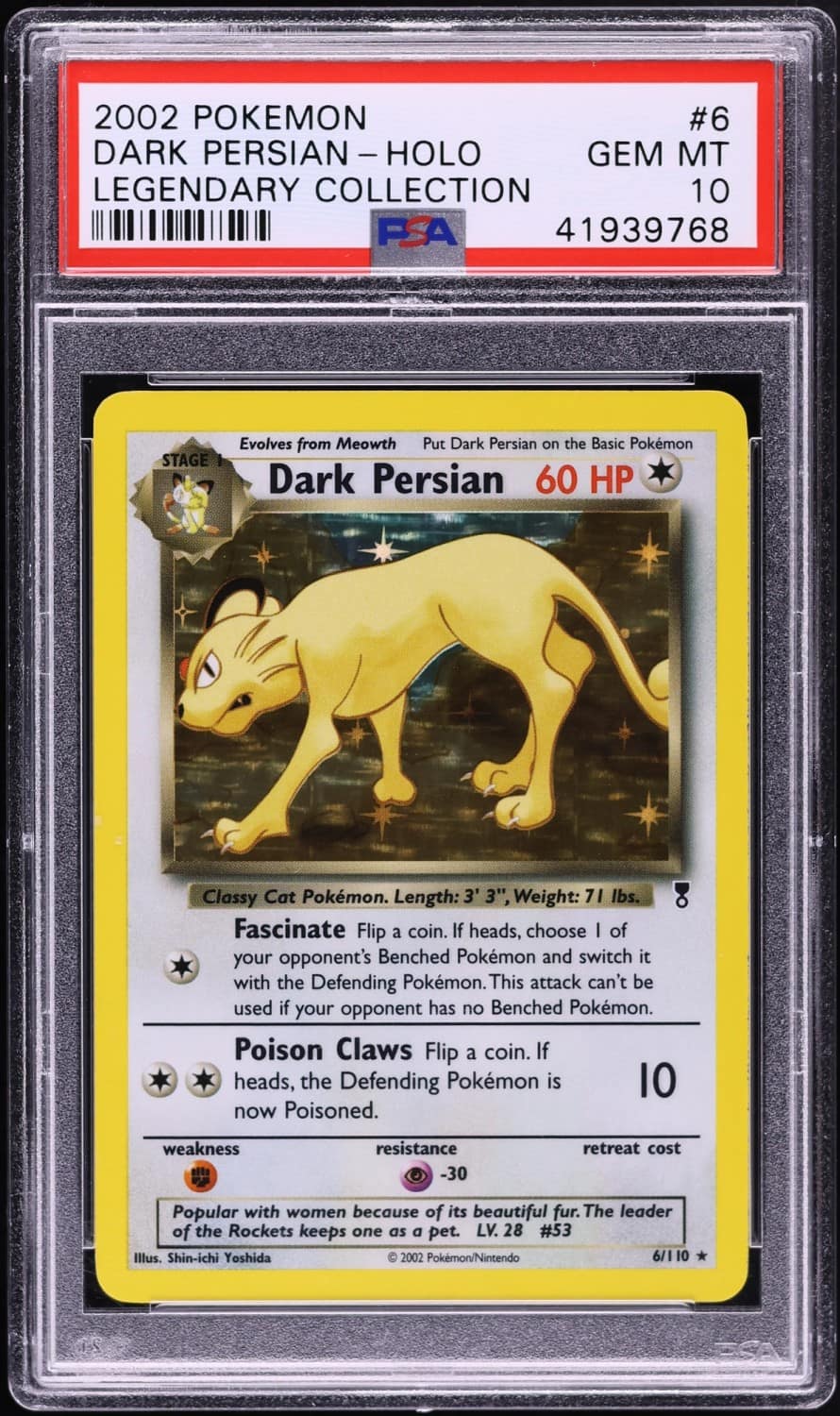 Dark Persian