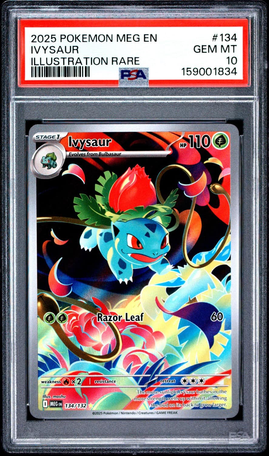 Ivysaur