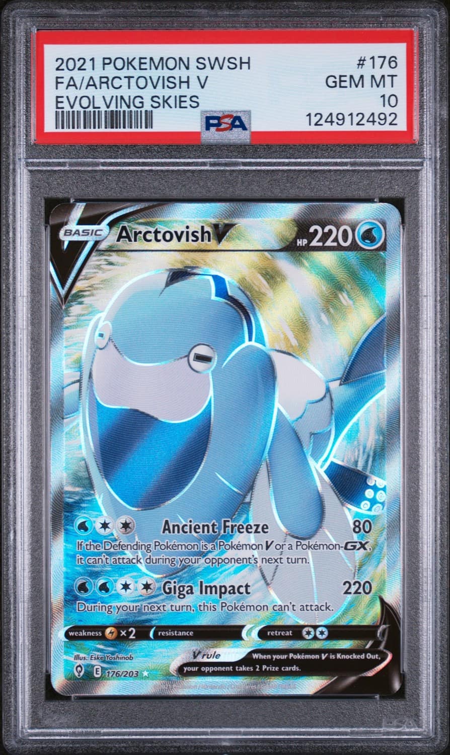 Arctovish V