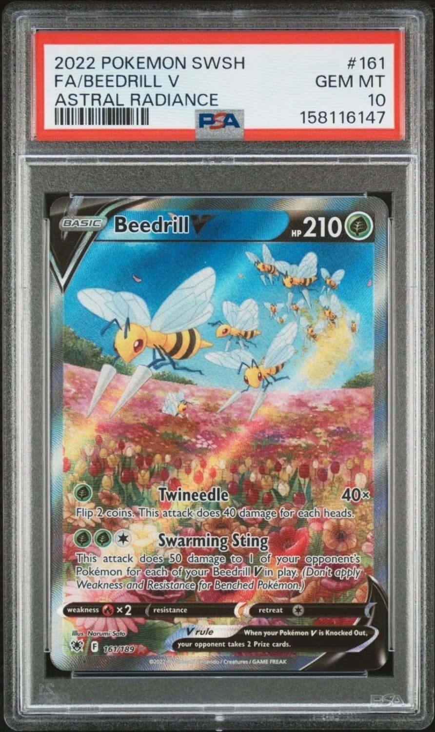 Beedrill V