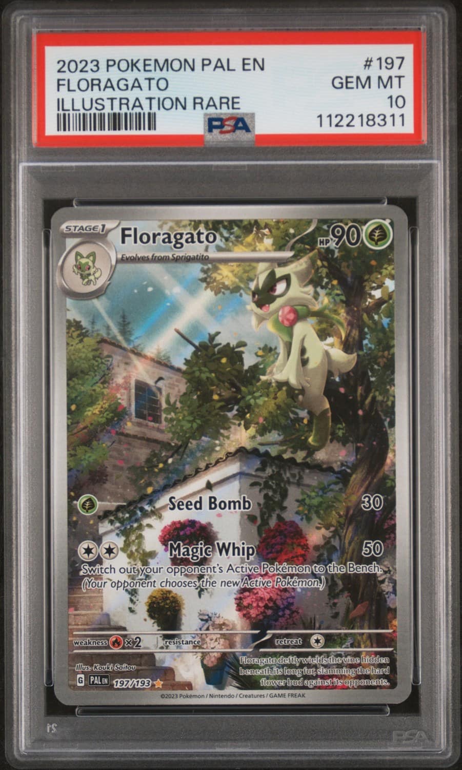 Floragato