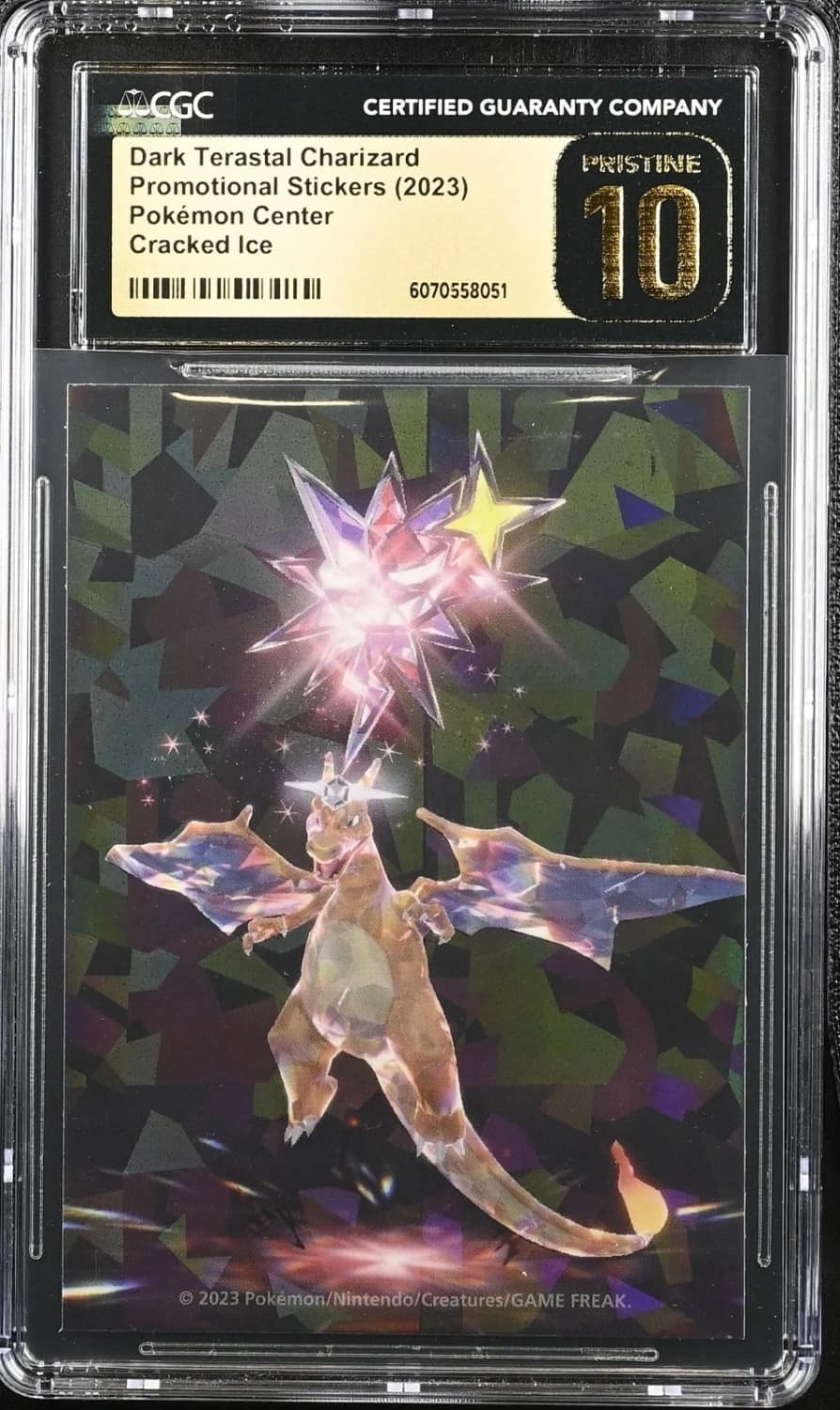 Dark Terastal Charizard