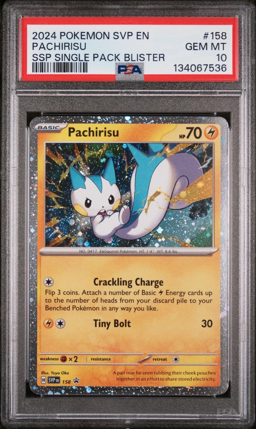 Pachirisu