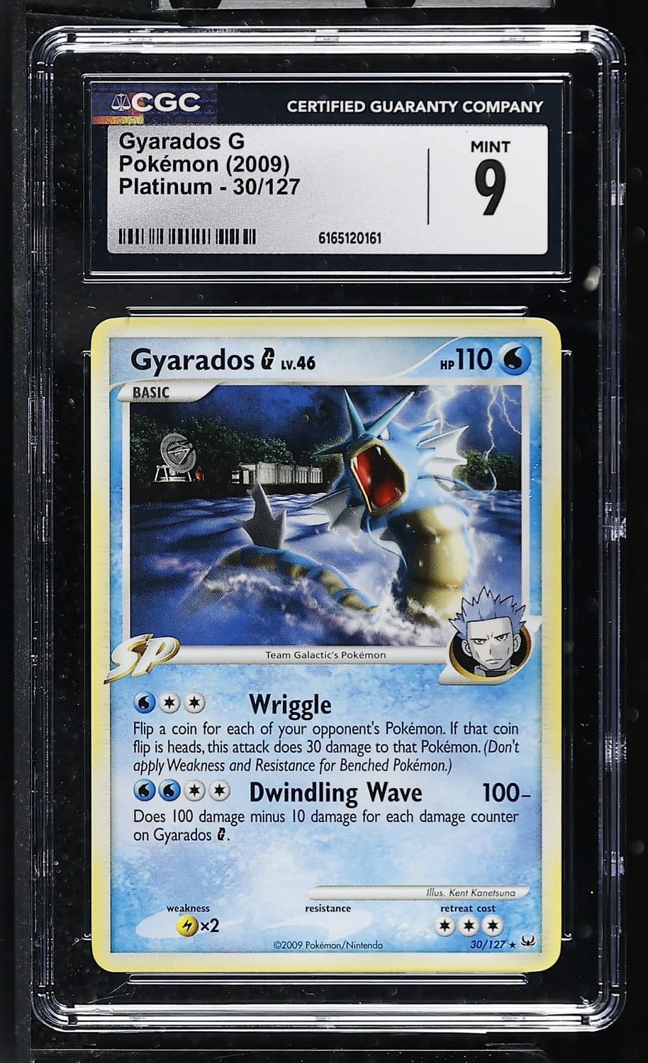 Gyarados G