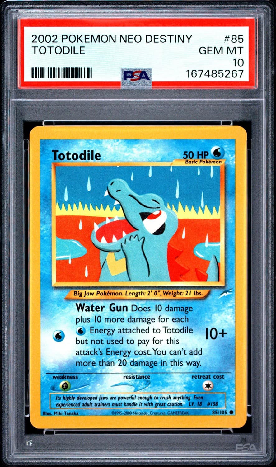 Totodile