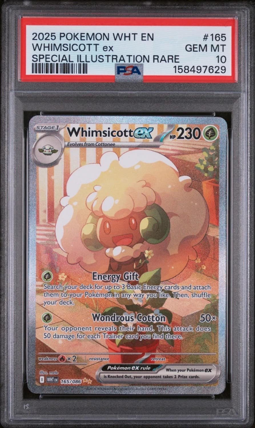 Whimsicott Ex