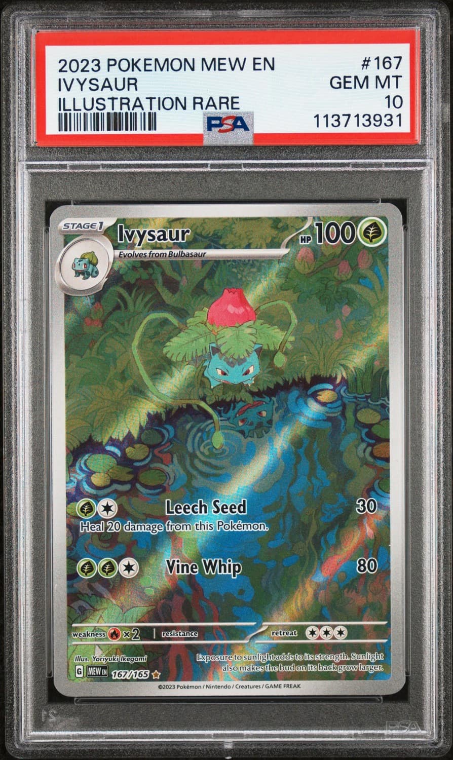 Ivysaur